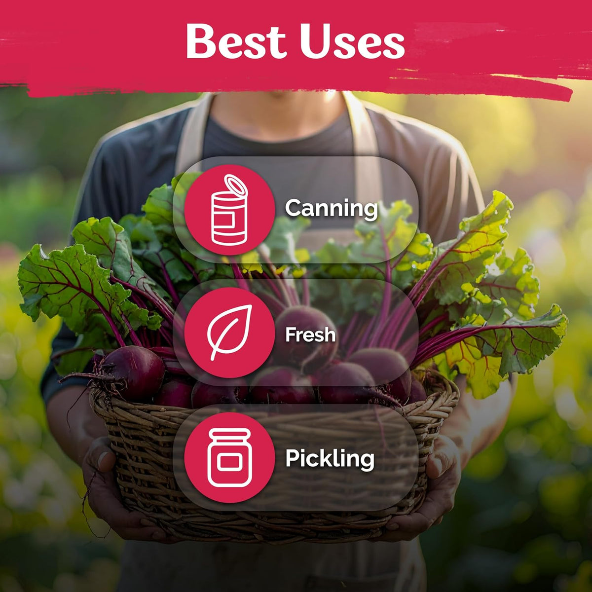 🌱Sweet Globe Red Beet Seeds- Heirloom Non-GMO for Home Vegetable Garden
