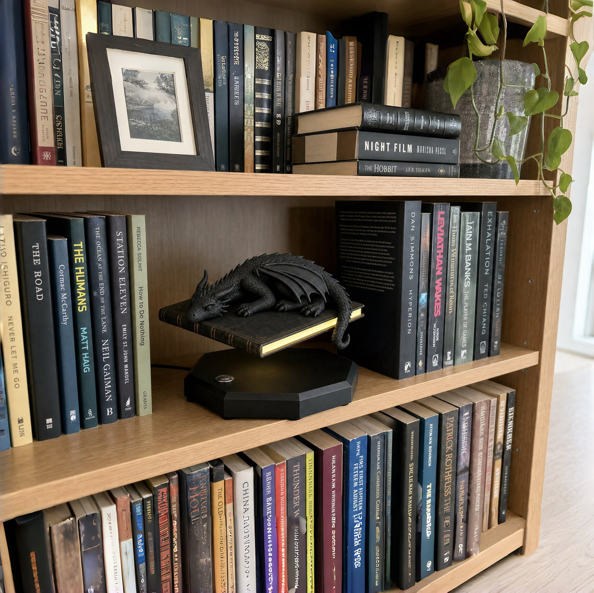 🐉 Levitating Sleeping Dragon Book Night Light