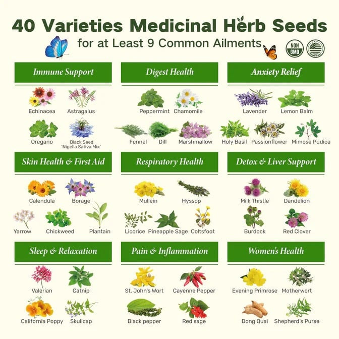 🌱 40 Medicinal Herb Seeds Kit – Grow Your Own Healing Garden & Herbal Teas