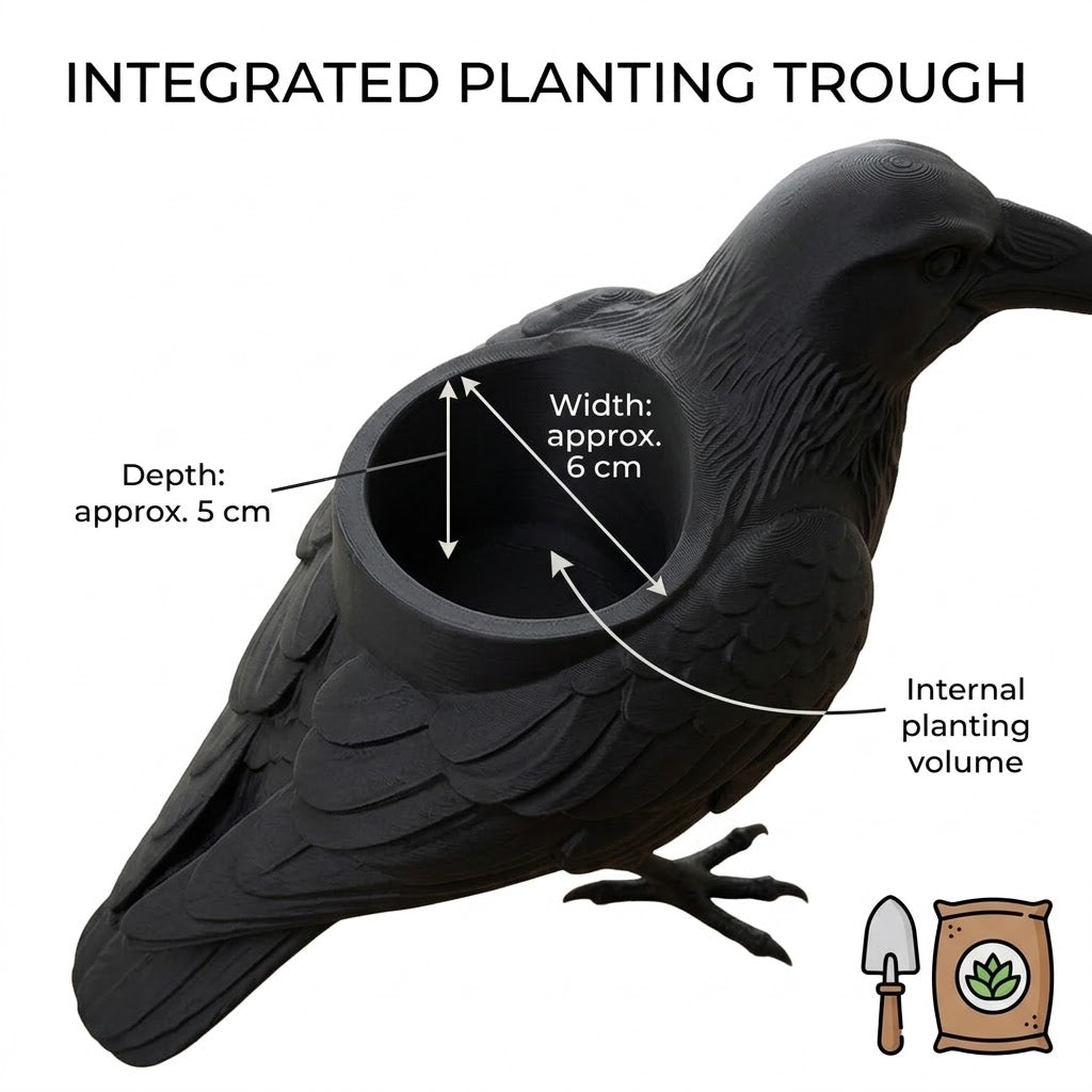 🐦‍⬛Crow Succulent Pot-Add mysterious gothic flair to your home and garden