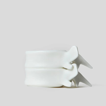 🦴 Spine Vertebra Ceramic Mug | Unique Anatomy Coffee Cup