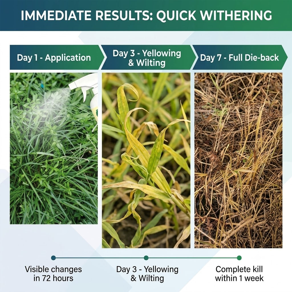 Powerful Root-Killing Herbicide Spray 🌿