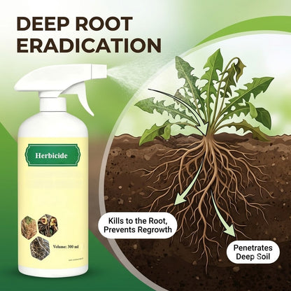 Powerful Root-Killing Herbicide Spray 🌿