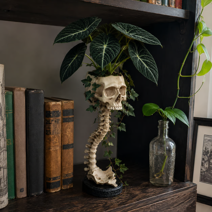💀 🌿 Sculptured Skull Flowerpot