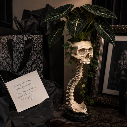 💀 🌿 Sculptured Skull Flowerpot