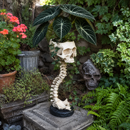 💀 🌿 Sculptured Skull Flowerpot