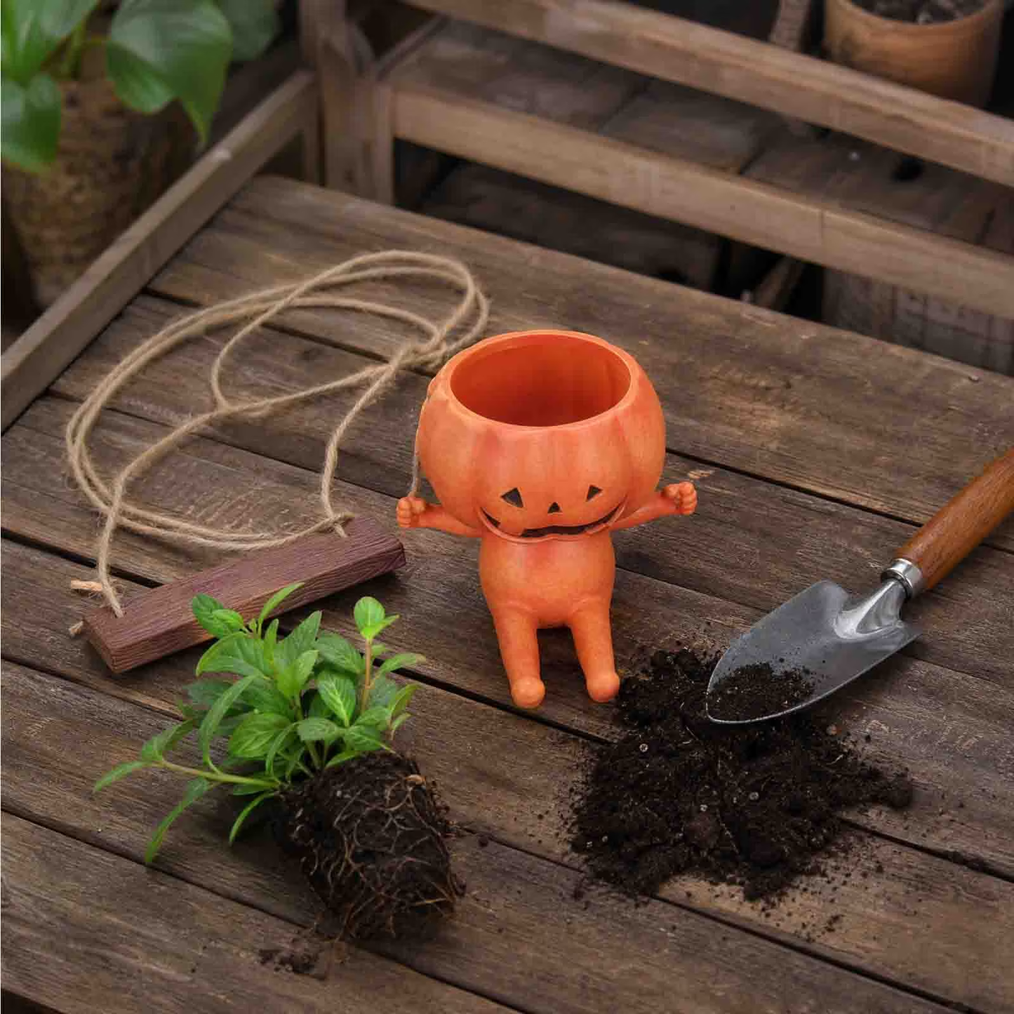 🎃Swing Pumpkin Hanging Planter Pot
