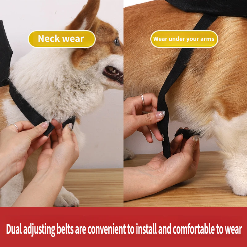 🎃 Spooky Black Bat Wings for Pets – Halloween Dress-Up Costume with Adjustable Velcro Straps