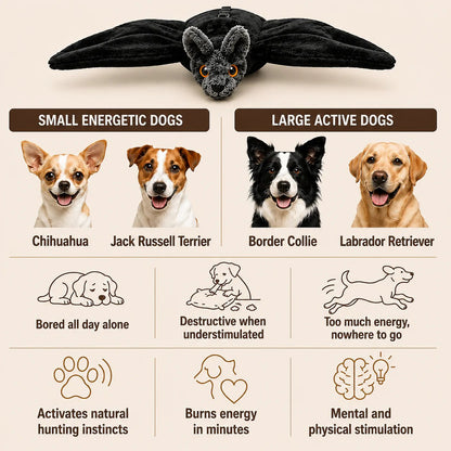 🐶🦇 Electric Flapping Bat Dog Toy | Interactive USB Rechargeable Plush with Remote Control & Catnip Pocket