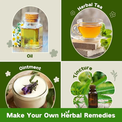🌱 40 Medicinal Herb Seeds Kit – Grow Your Own Healing Garden & Herbal Teas