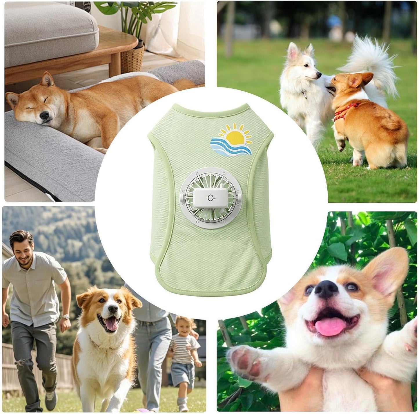 🐶 Summer Dog Cooling Vest with Detachable 3-Speed Fan | Breathable Mesh Pet Cool Shirt