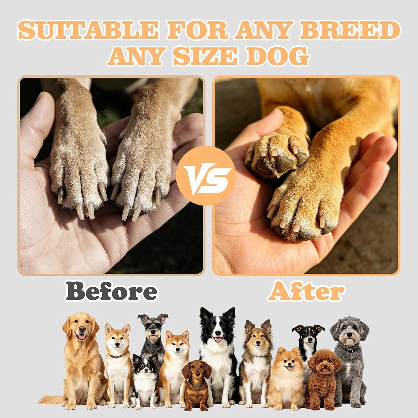 🦮3‑in‑1 Interactive Dog Nail Grinding & Treat Feeding Turntable