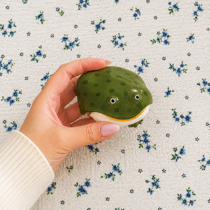 🐸Fun 3D Frog-Shaped AirPods Case