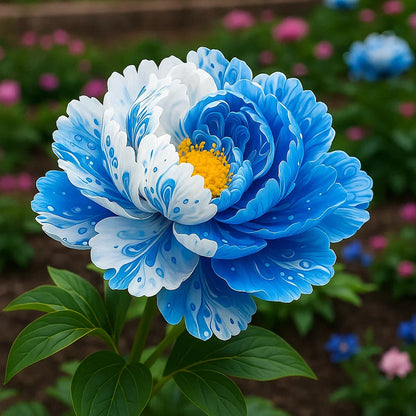 🌺Rare Double Peonies✨ That Bloom Bigger & Brighter🌿 That Bring Every Garden to Life