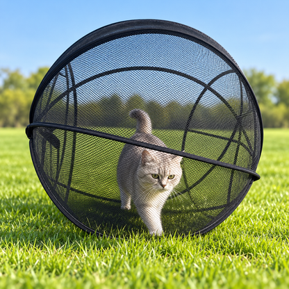 🐱🌿360° Panoramic Pop-Up Rolling Cat Playpen Ball