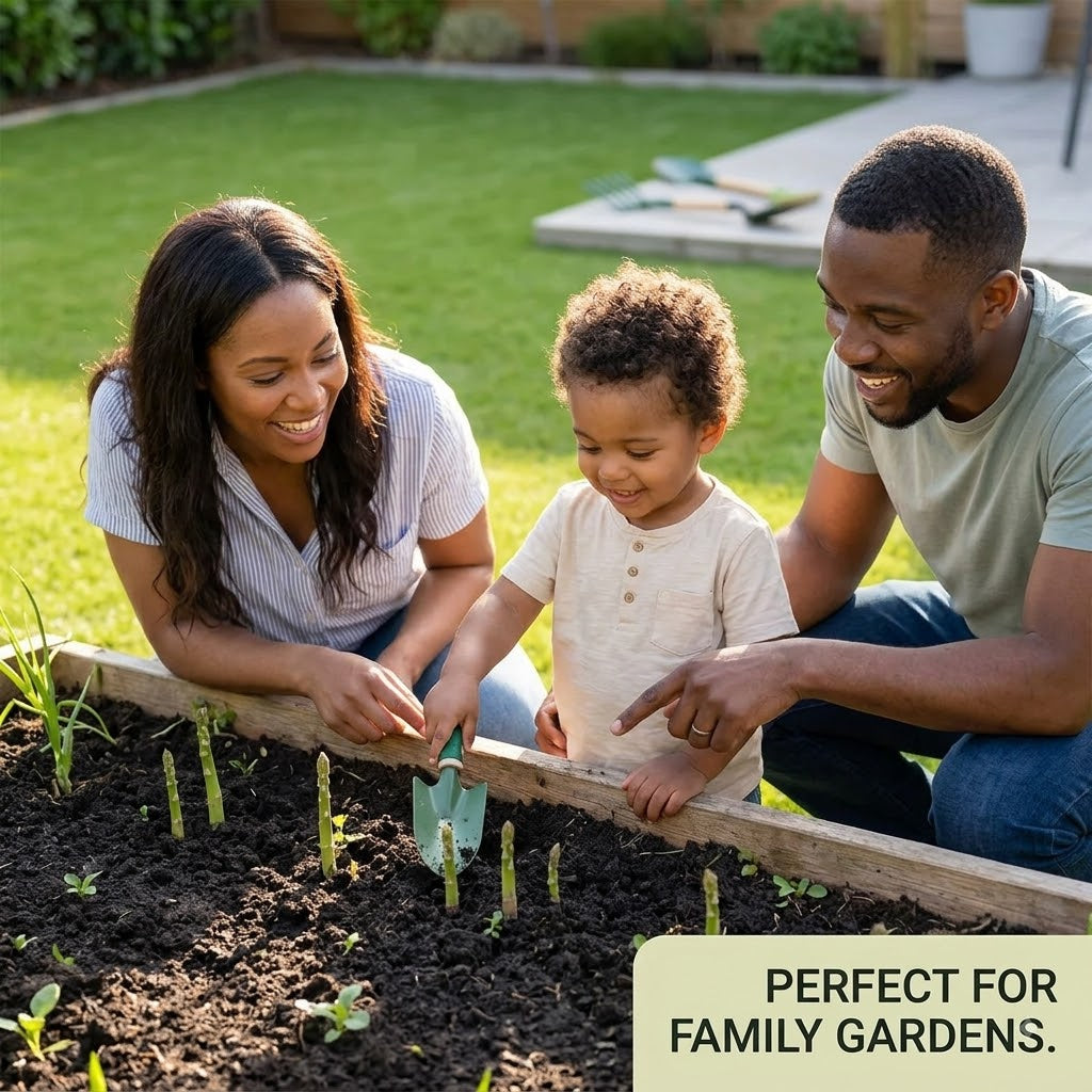 🌱 Premium Perennial Asparagus Seeds, High‑Yield Hardy Garden Vegetable Seeds