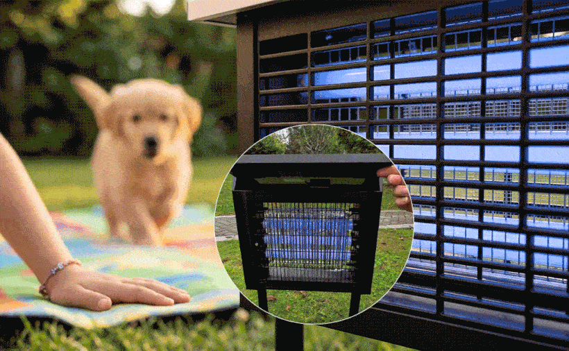 Solar-Powered High-Efficiency Outdoor Bug Zapper