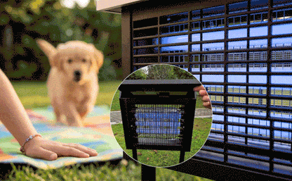 Solar-Powered High-Efficiency Outdoor Bug Zapper