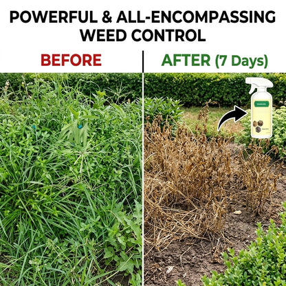 Powerful Root-Killing Herbicide Spray 🌿