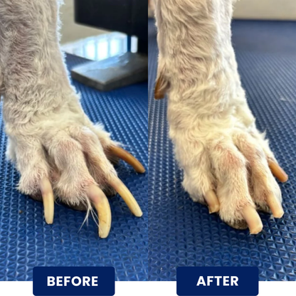🦮3‑in‑1 Interactive Dog Nail Grinding & Treat Feeding Turntable