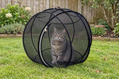 🐱🌿360° Panoramic Pop-Up Rolling Cat Playpen Ball