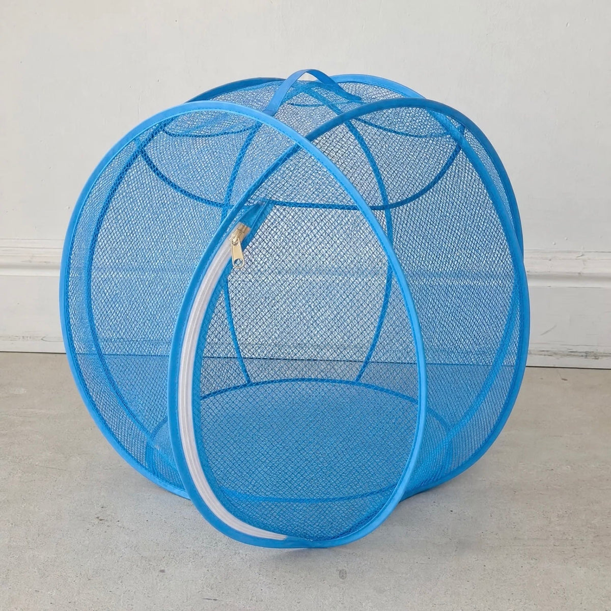 🐱🌿360° Panoramic Pop-Up Rolling Cat Playpen Ball