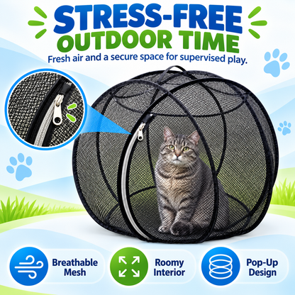 🐱🌿360° Panoramic Pop-Up Rolling Cat Playpen Ball