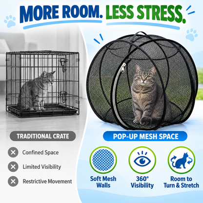 🐱🌿360° Panoramic Pop-Up Rolling Cat Playpen Ball