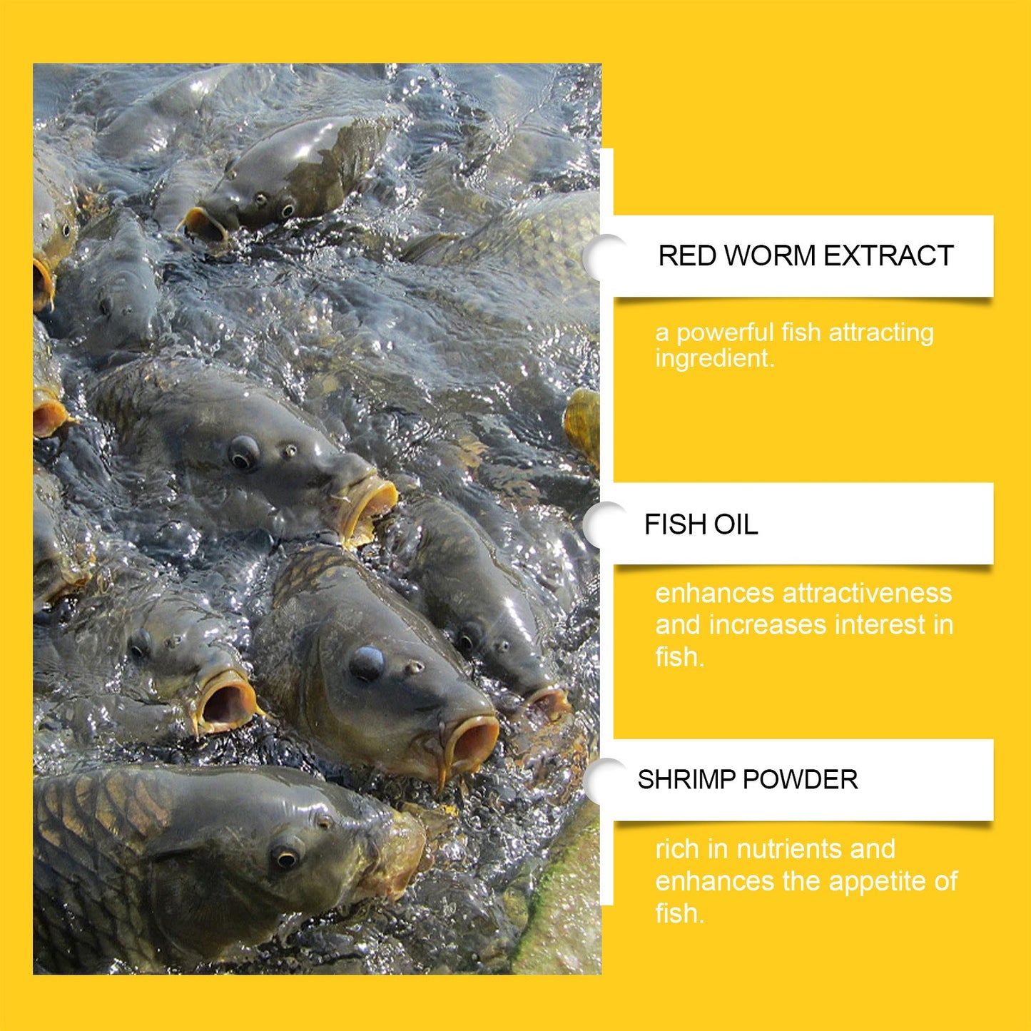 🎣Bloodworm Fishing Bait