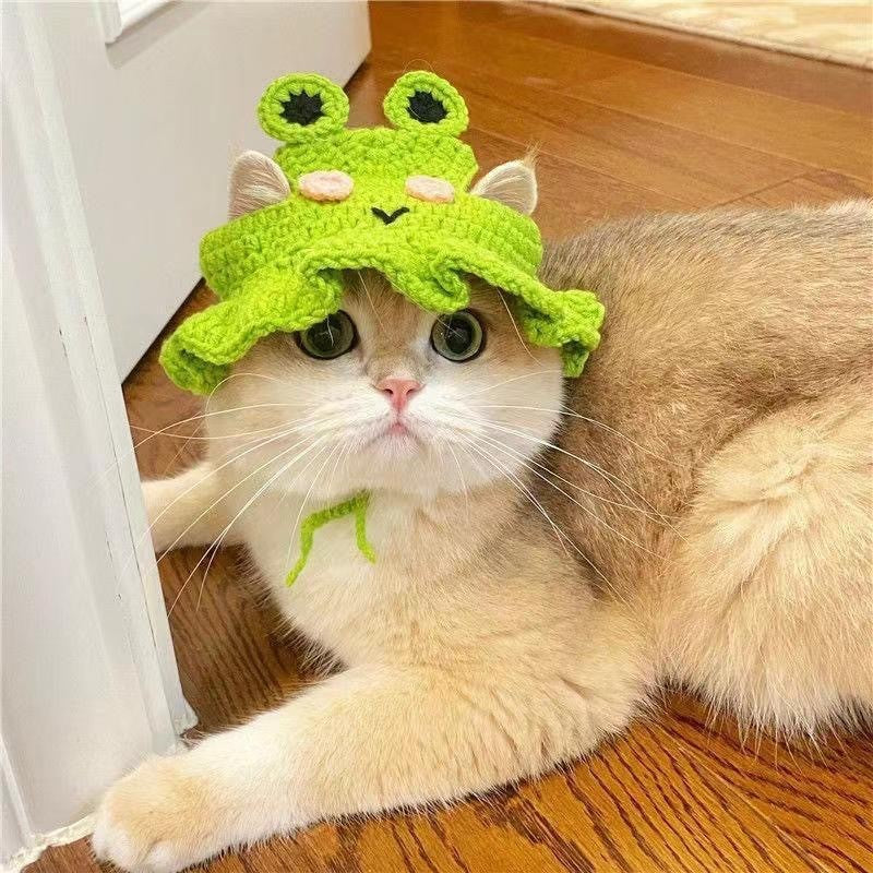 🐱 Handmade Knitted Pet Hat and Collar Set – Cute Fruit-Animal Designs