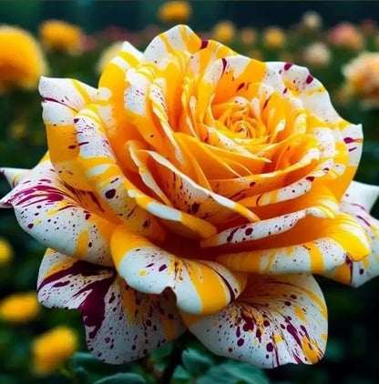 🌹 Rare Patterned Rainbow Rose Seeds