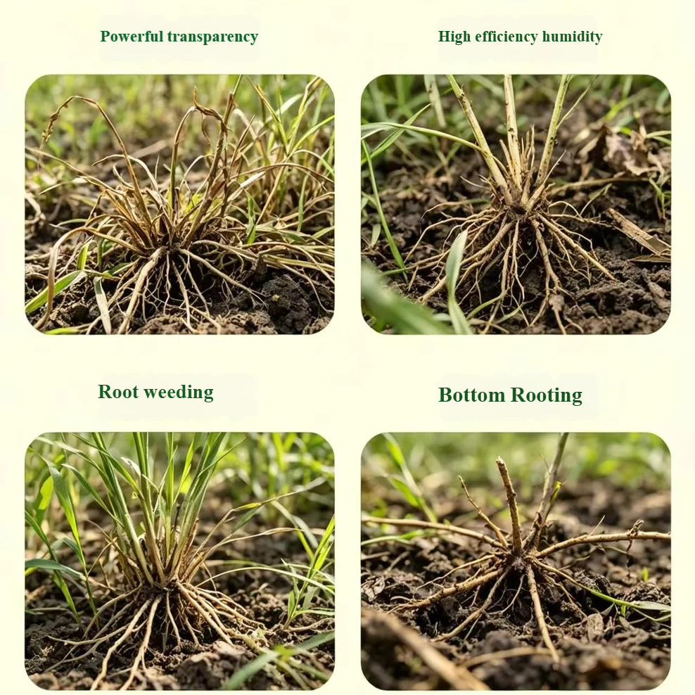 Powerful Root-Killing Herbicide Spray 🌿
