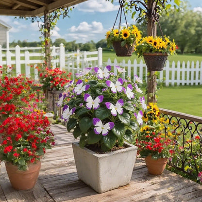 🦋Butterfly‑Shaped Blossom Flower Seeds