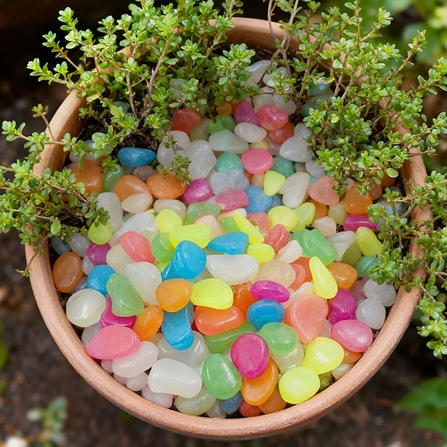 🌈Colorful Glow-in-the-Dark Garden Stones