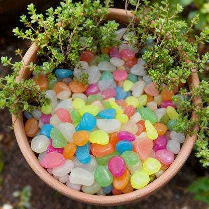 🌈Colorful Glow-in-the-Dark Garden Stones