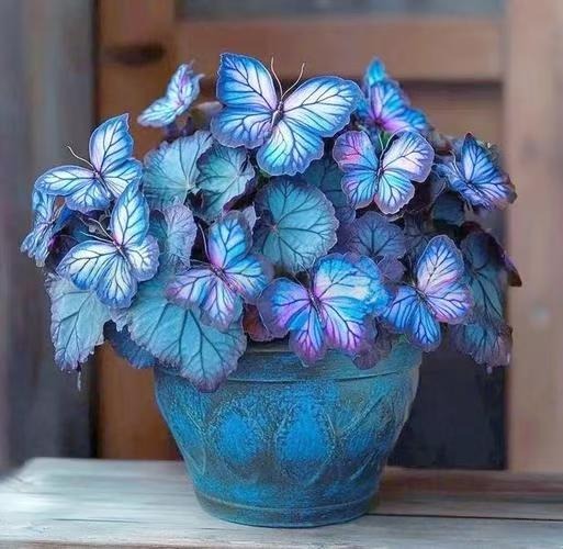 🦋Butterfly‑Shaped Blossom Flower Seeds