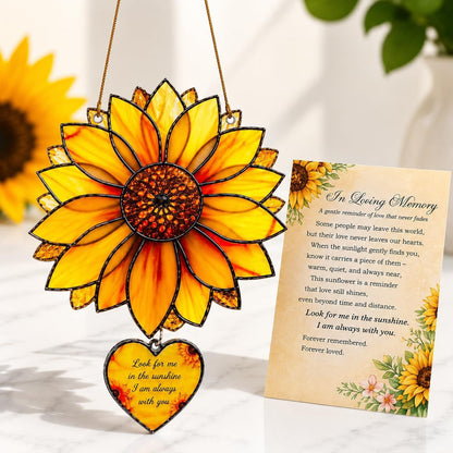 🦋 Butterfly and Rainbow Suncatcher with Story Card