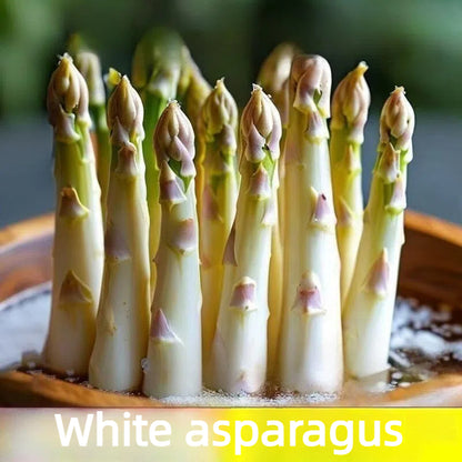 🌱 Premium Perennial Asparagus Seeds, High‑Yield Hardy Garden Vegetable Seeds
