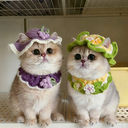 🐱 Handmade Knitted Pet Hat and Collar Set – Cute Fruit-Animal Designs