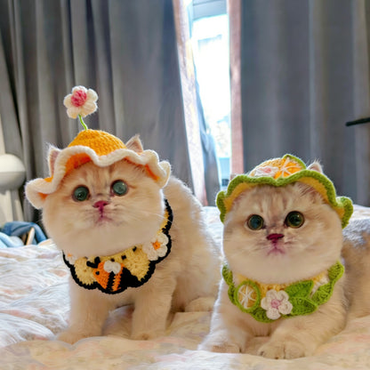 🐱 Handmade Knitted Pet Hat and Collar Set – Cute Fruit-Animal Designs