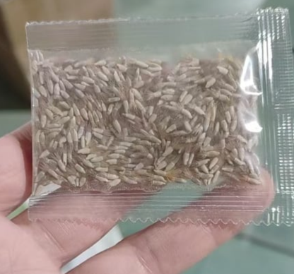 🌸Premium Cornflower Seeds - The"Unstoppable" wildflower That Grows Anywhere