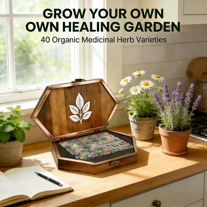 🌱 40 Medicinal Herb Seeds Kit – Grow Your Own Healing Garden & Herbal Teas