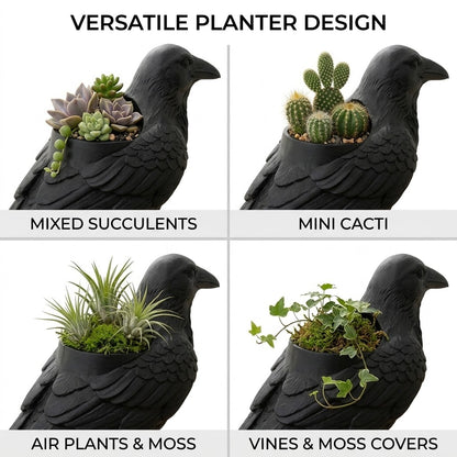 🐦‍⬛Crow Succulent Pot-Add mysterious gothic flair to your home and garden