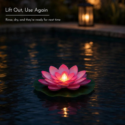 🪷Floating Lotus Lights