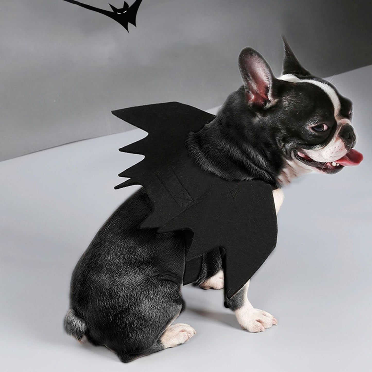 🎃 Spooky Black Bat Wings for Pets – Halloween Dress-Up Costume with Adjustable Velcro Straps