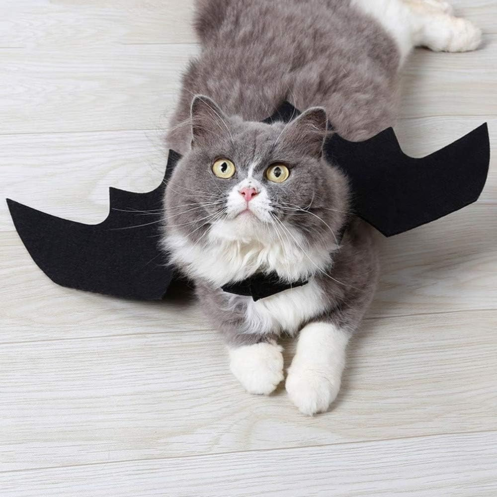 🎃 Spooky Black Bat Wings for Pets – Halloween Dress-Up Costume with Adjustable Velcro Straps