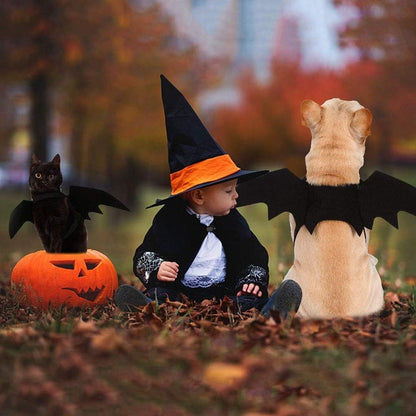 🎃 Spooky Black Bat Wings for Pets – Halloween Dress-Up Costume with Adjustable Velcro Straps