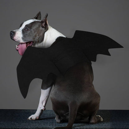 🎃 Spooky Black Bat Wings for Pets – Halloween Dress-Up Costume with Adjustable Velcro Straps