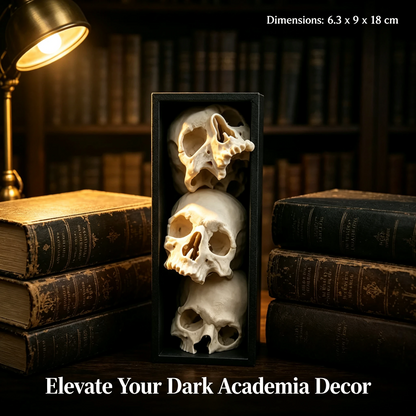 🖤 Triple Skull Bookshelf Decor