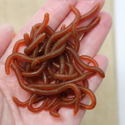 ✨✨8cm shrimp-flavored soft lure (earthworm style), pack of 50 or 100